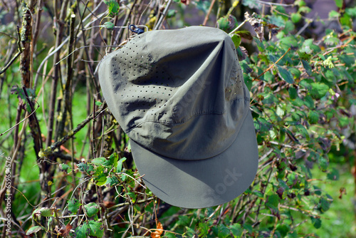 A baseball cap lies on the hedge