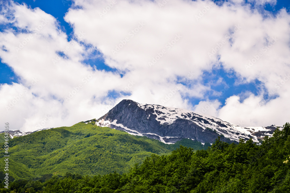 Mountain summit covered with snow with green forest in springtime
