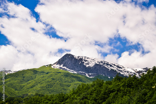 Mountain summit covered with snow with green forest in springtime