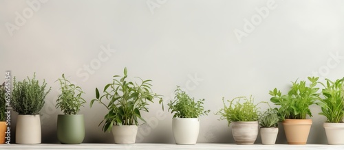 Various fake potted herbs on gray table room for writing