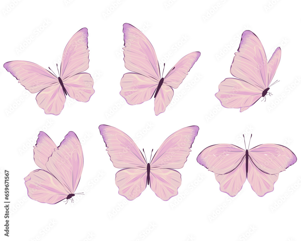 set of butterflies isolated set of butterflies isolated
