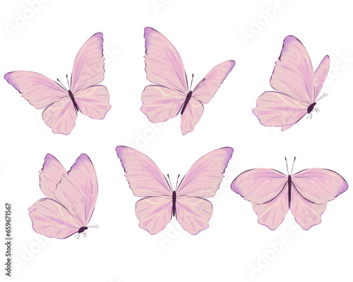 set of butterflies isolated © gltekin