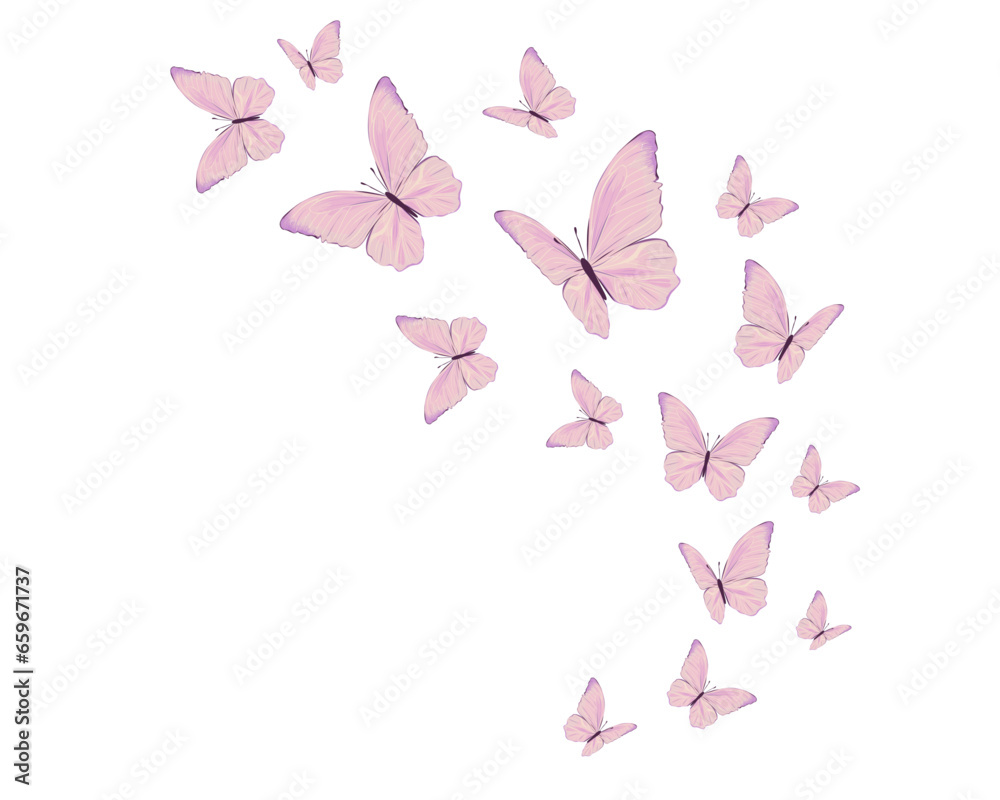 pink and white butterflies
