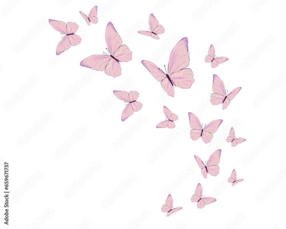 pink and white butterflies pink and white butterflies