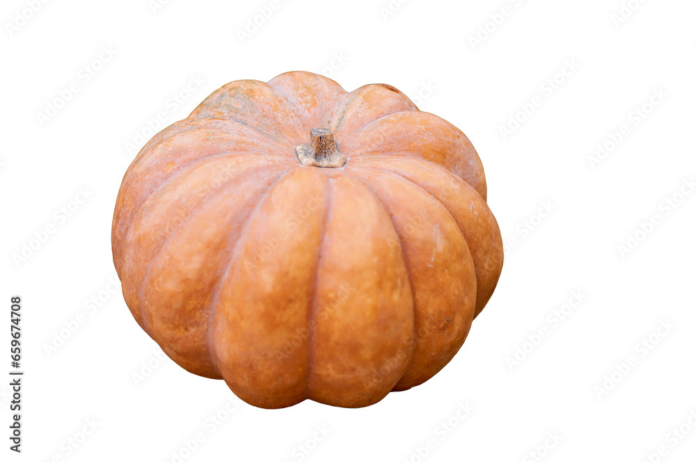 Harvest festival with autumn pumpkins and vegetables, isolated on a white background. Sale of agricultural crops on the outdoor market after the holiday Harvest festival with autumn pumpkins and vegetables, isolated on a white background. Sale of agricultural crops on the outdoor market after the holiday