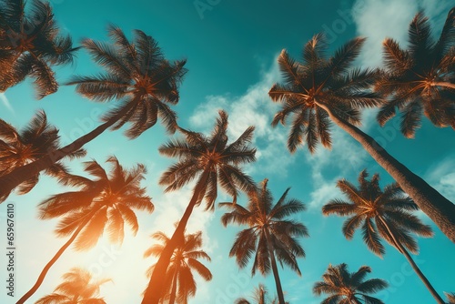 a group of palm trees against a blue sky