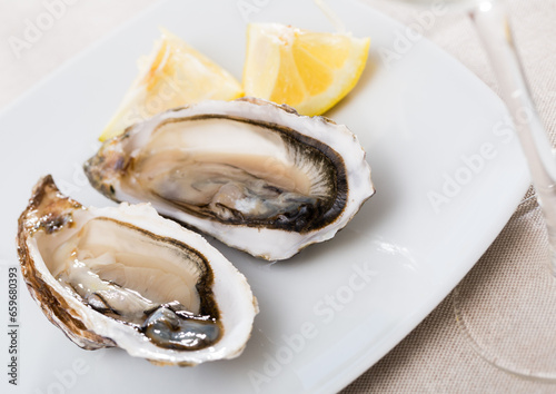 Oysters with lemon on plate. High quality photo