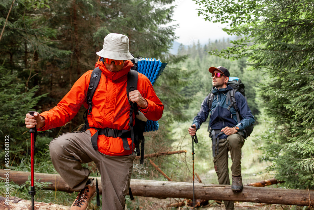 two male tourists with backpacks and hiking equipment are walking in the forest, people on mountain hike