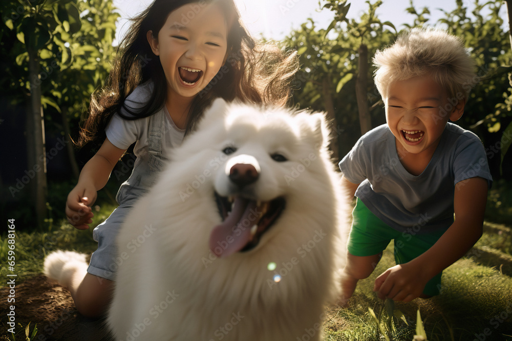 A boy and a girl are giggling uncontrollably while playing tag with their fluffy Samoyed A boy and a girl are giggling uncontrollably while playing tag with their fluffy Samoyed