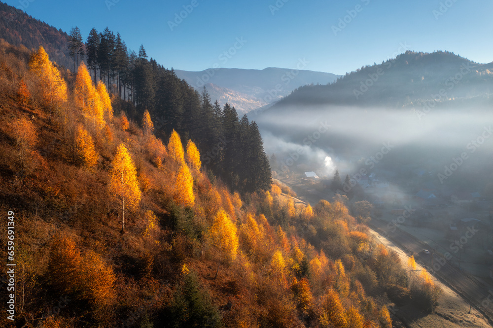 Aerial view of beautiful orange trees on the hill in fog in mountain valley at sunrise in autumn in Ukraine. Colorful landscape with foggy forest, fields and meadows, blue sky. Woods in fall. Nature - obrazy, fototapety, plakaty 