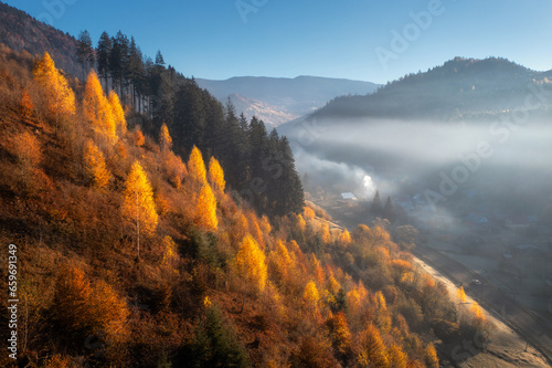 Aerial view of beautiful orange trees on the hill in fog in mountain valley at sunrise in autumn in Ukraine. Colorful landscape with foggy forest, fields and meadows, blue sky. Woods in fall. Nature