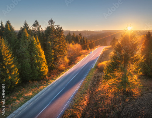 Aerial view of road in forest at sunset in autumn in Ukraine. Top drone view of empty road in woods. Beautiful landscape with roadway in hills, pine trees, sky, golden sunlight in fall. Travel