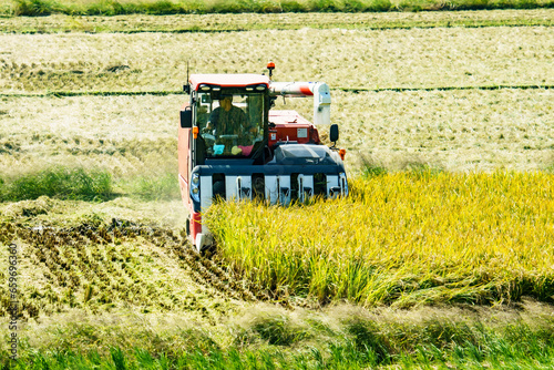 コンバインを使って稲刈りをする風景