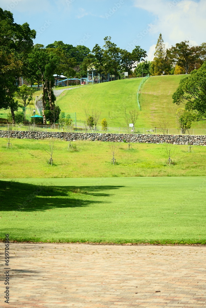 Obraz premium 綺麗な芝生が広がる健康の森公園