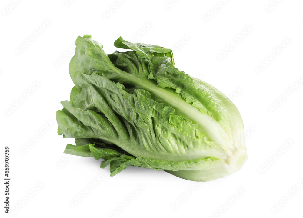 Fresh green romaine lettuce isolated on white Fresh green romaine lettuce isolated on white
