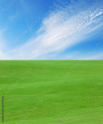 Beautiful lawn with green grass under bright blue sky with clouds