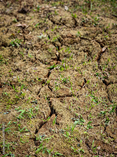 pattern of dried soil in the dry season