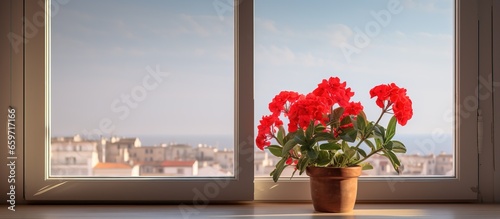 Red geranium flowers on home balcony