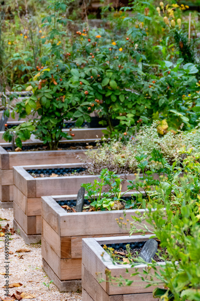 Kräutergarten im Herbst Kräutergarten im Herbst