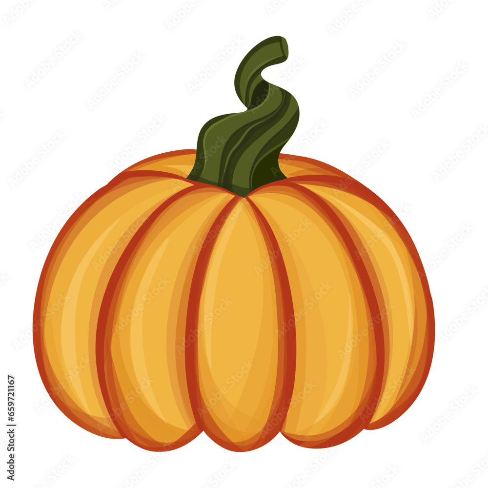 pumpkin vector illustration pumpkin vector illustration
