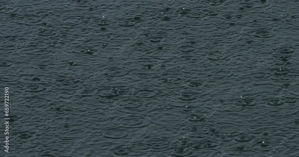 Rain dropping on surface water. Rain dropping on surface water.