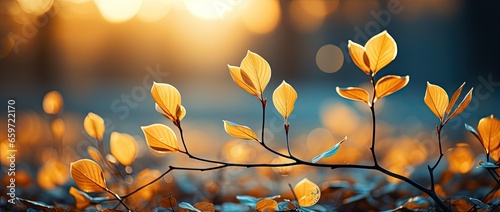 yellow leaves with sunlight in the background, in the style of lens flares, shaped canvas, bokeh, photo taken with nikon d750, british topographical, landscape-focused, commission photo