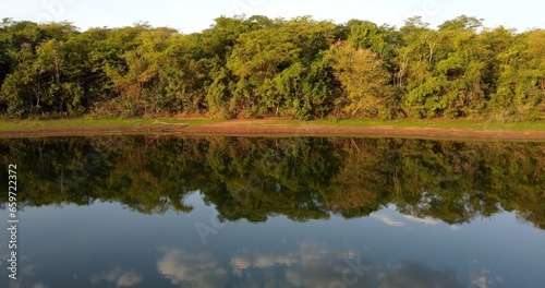 view across riverbank with Brazilian Cerrado dense forrest on the other bank