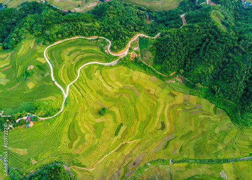 Mountainous ripen rice fields in Pu Luong, Vietnam viewed from the air.