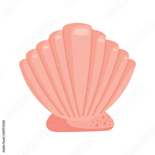 sea life seashell