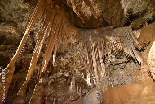Mole Creek Limestone cave in Tasmania, Australia