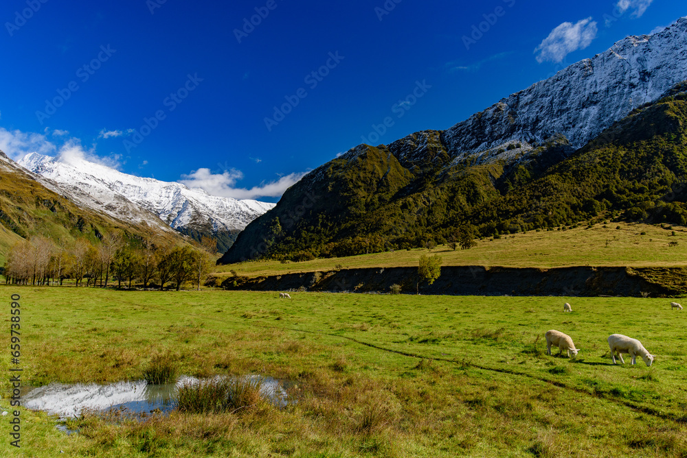 Mount Aspiring National Park in South Island, New Zealand