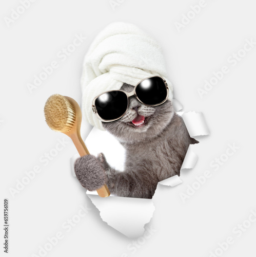 Happy kitten with towel on it head holds brush and looks through a hole in white paper