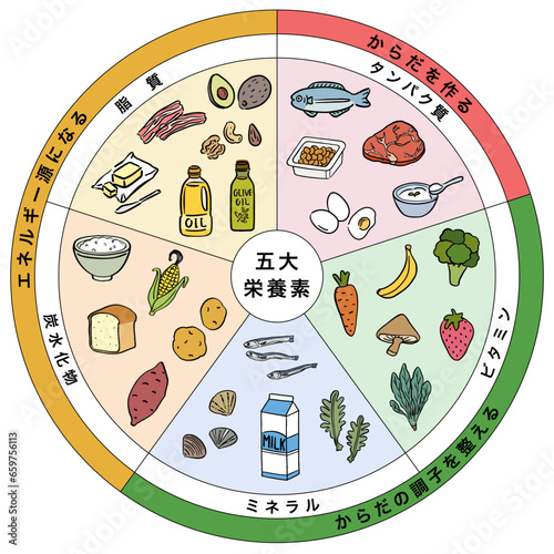 五大栄養素　三色食品群　食品　一覧表