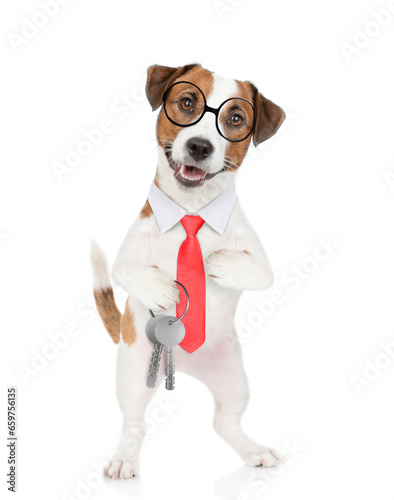 Jack russell terrier puppy wearing necktie and eyeglasses holds in his paw the keys to a new apartment. Isolated on white background