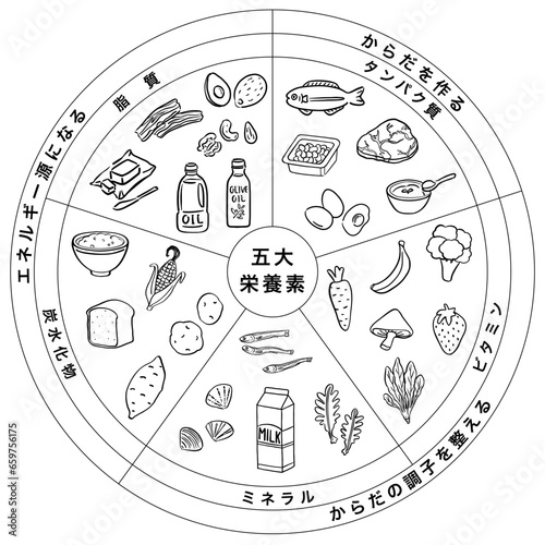 五大栄養素　三色食品群　食品　一覧表　1色