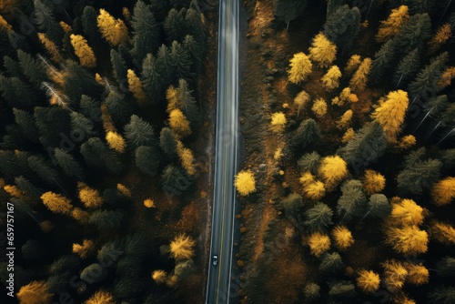 White trucks driving on asphalt road along the autumn forest. Road seen from the air. Aerial view landscape. shooting from a drone © VIK