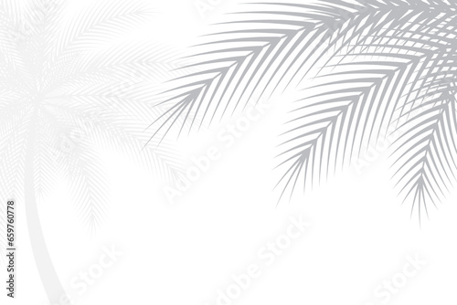 Abstract background of palm leaves or coconut leaves. Natural pattern, gray shadow. Copy space. For advertisements, business cards, brochures and white backgrounds.
