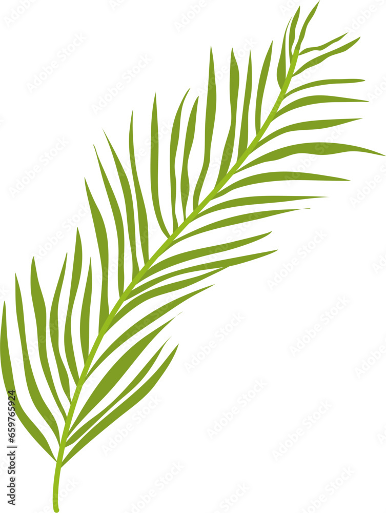 Fototapeta premium Green Leaf