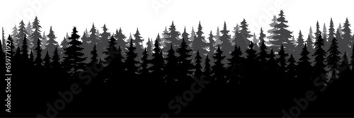 silhouette of tree forest background photo