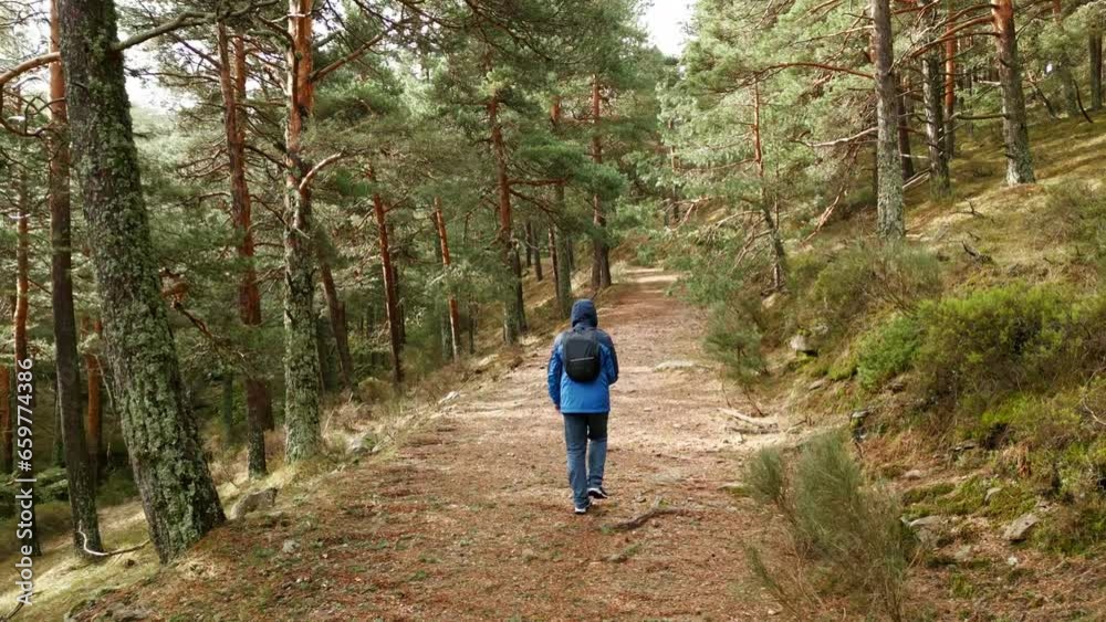 Man with backpack walking along a forest path in the Sierra de Guadarrama, Madrid. Man with backpack walking along a forest path in the Sierra de Guadarrama, Madrid.