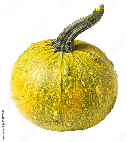 wonderful dwarf decorative pumpkin for interior decorationon a white background