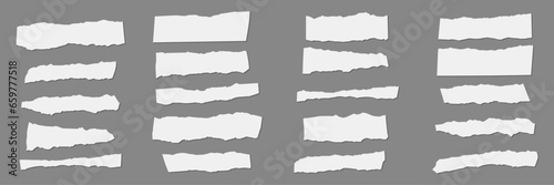 collection of various ripped pieces of paper. vector