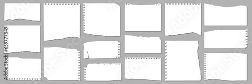 collection of various ripped pieces of paper. vector
