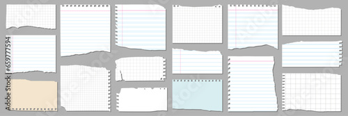 collection of various ripped pieces of paper. vector