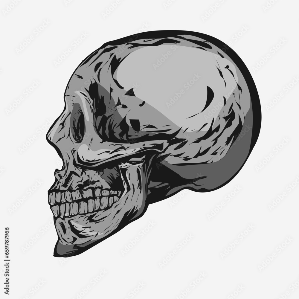 Detailed skull illustration side view with grey and black color Detailed skull illustration side view with grey and black color