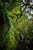 Scenic view of a female hiker climbing the stone steps of a hiking trail overhung with branches, Levada das 25 Fontes, Madeira, Portugal