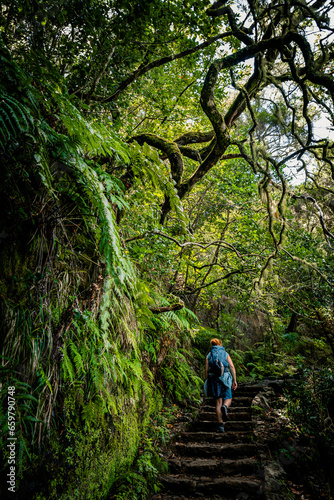 Scenic view of a female hiker climbing the stone steps of a hiking trail overhung with branches  Levada das 25 Fontes  Madeira  Portugal