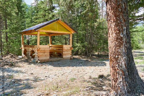 Wooden gazebo in the forest in summer day. © Vin.rusanov