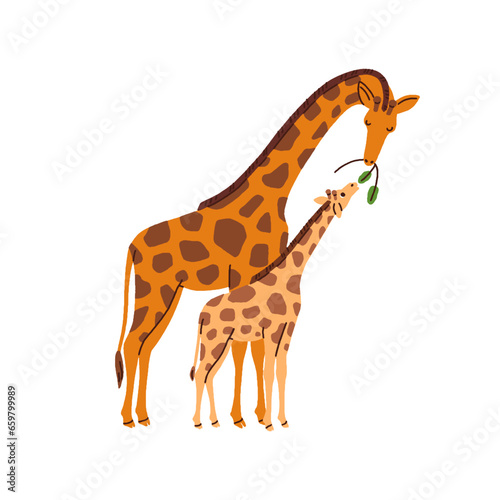 Giraffe family. Mother animal feeding cute funny little cub  kid. Wild jungle mom and child eating together. Adorable mommy and sweet baby. Flat vector illustration isolated on white background