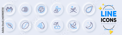 Moon stars, Pumpkin seed and Coffee beans line icons for web app. Pack of Christmas holly, Leaf dew, Cherry pictogram icons. Leaf, Walnut, Grow plant signs. World water, Recycle water. Vector